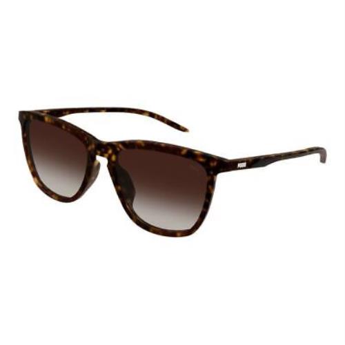Puma PE0176SA-002 Havana Havana Brown Sunglasses