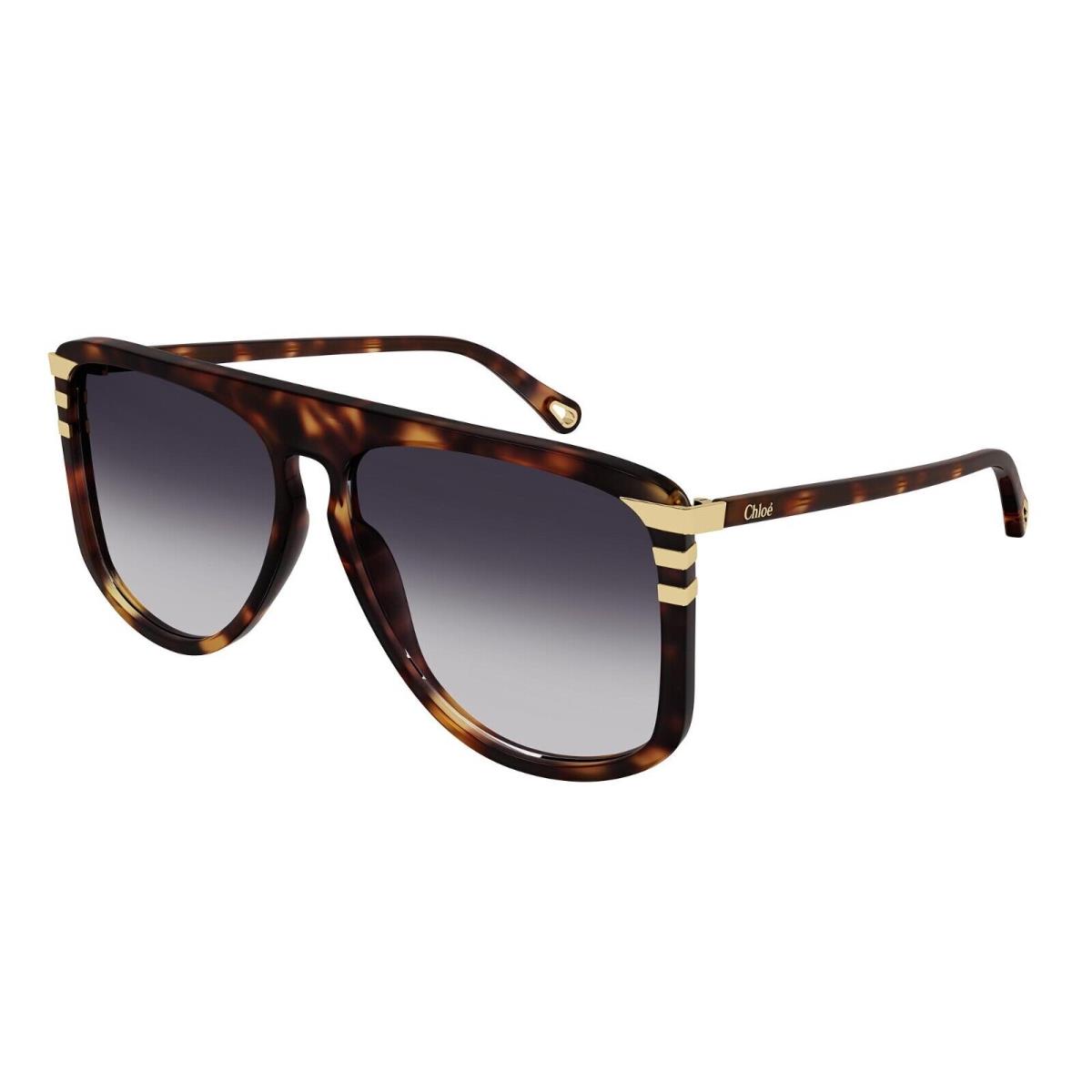 Chloé Chlo CH0104S Havana/grey Shaded 004 Sunglasses