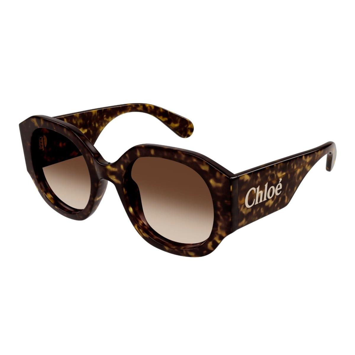 Chloé Chlo CH0234S Havana/brown Shaded 002 Sunglasses