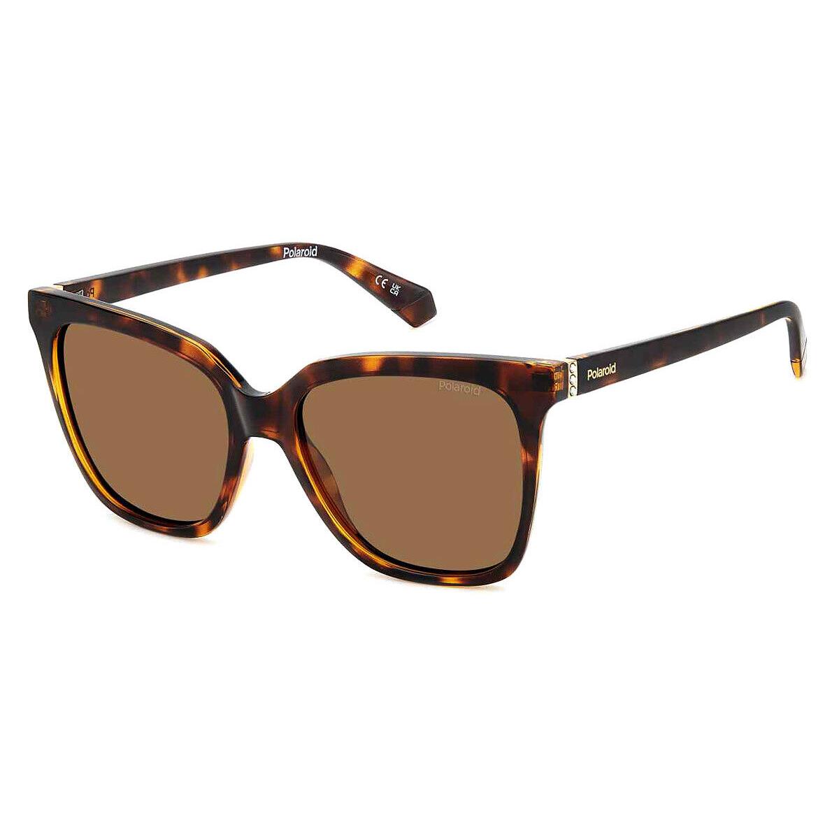 Polaroid Pld Sunglasses Women Havana / Bronze Polarized 55mm