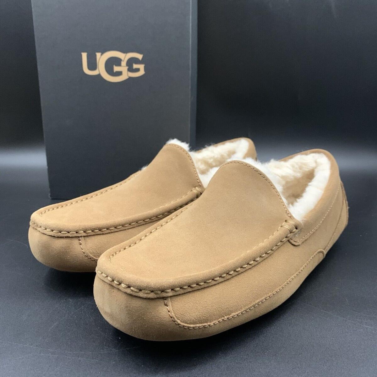 Mens US 11 Ugg Ascot Slipper Chestnut Suede Sheep Wool Comfort Loafer Shoe EU 44