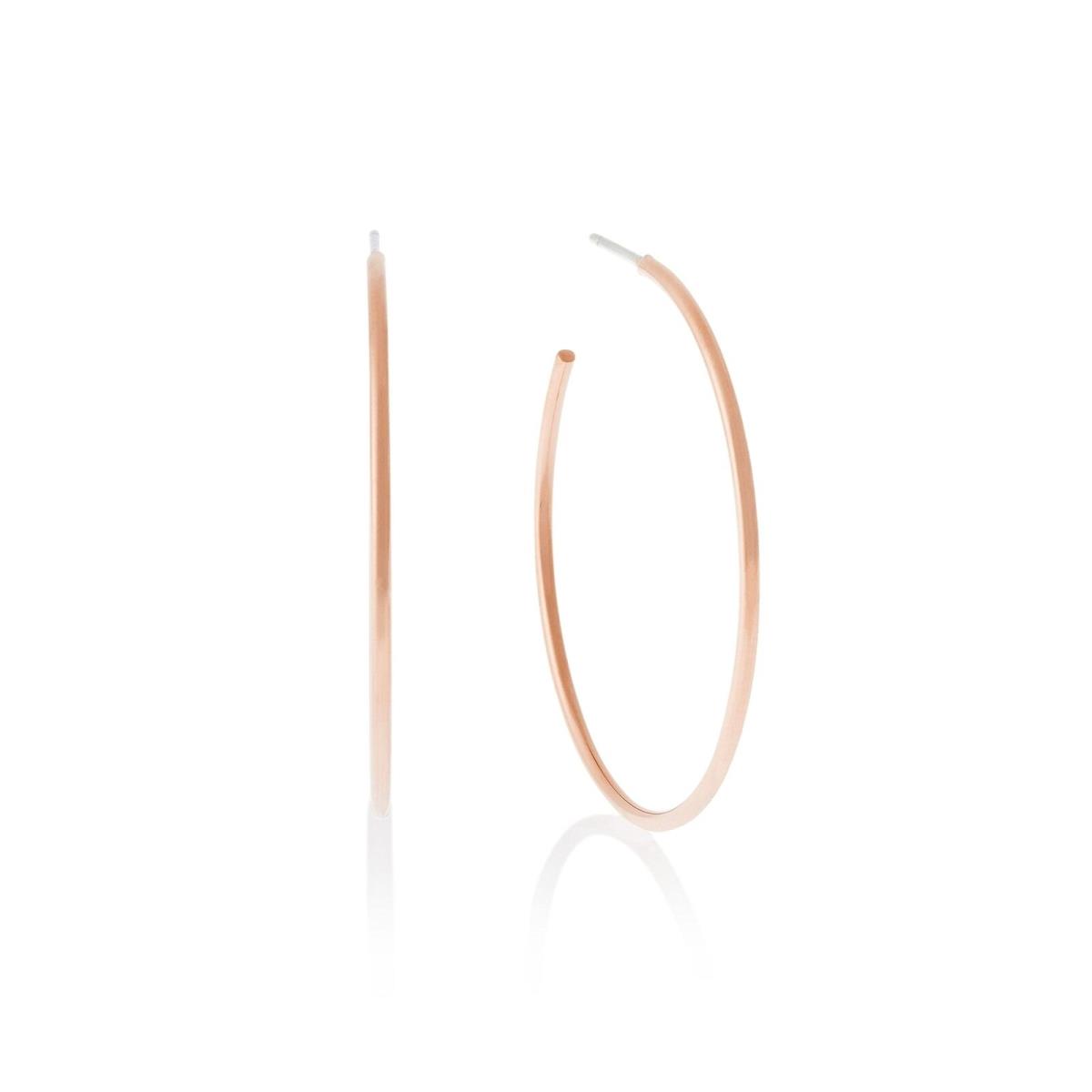 Michael Kors Stainless Steel Hoop Earrings For Women Color Rose Gold Model