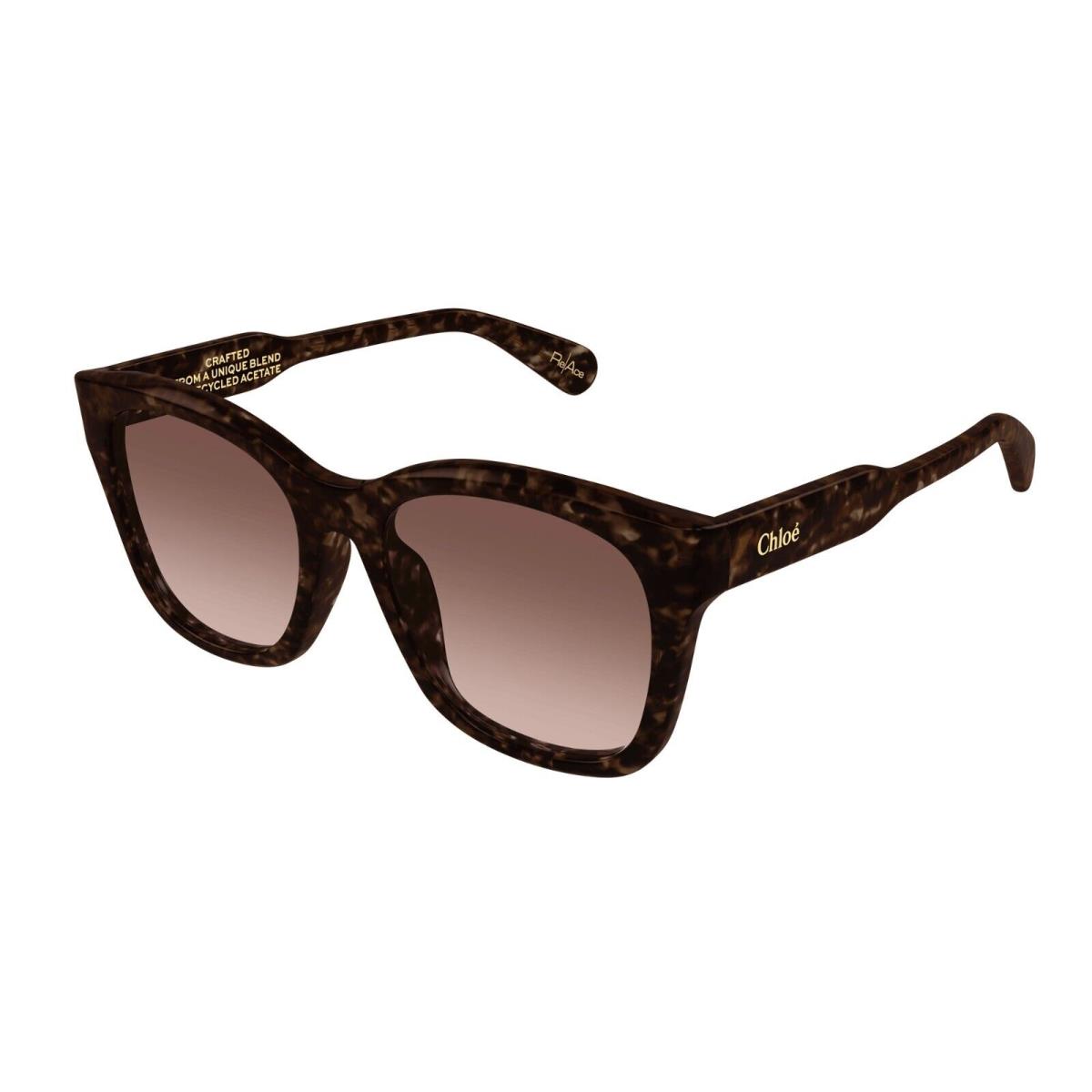 Chloé Chlo CH0194SK Havana/copper Shaded 002 Sunglasses