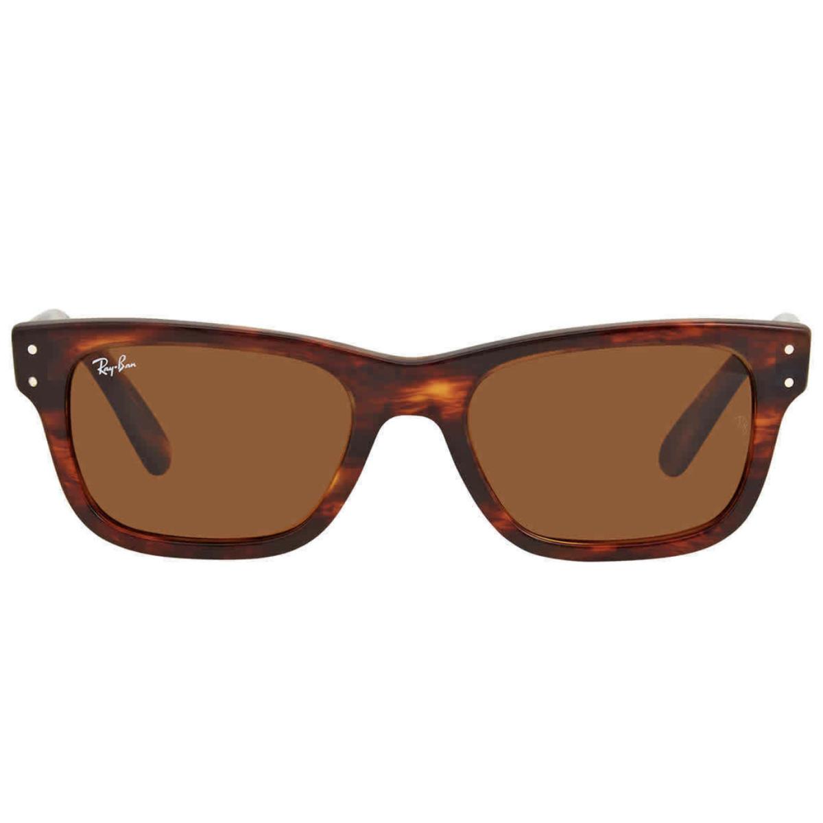 Ray-ban Mr Burbank Sunglasses RB 2283 954/33 58-20 Tortoise Frames Brown Lenses