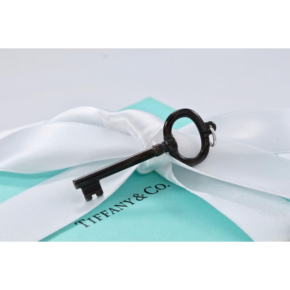 Tiffany Co. Silver Titanium Oval Key Pendant