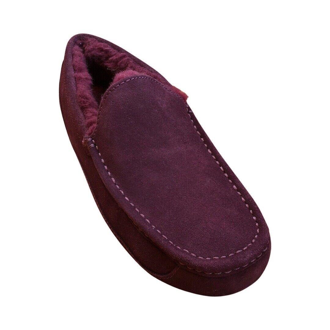 Ugg Men`s Ascot Slippers Wild Grape 1101110 Shoe Sheepskin Suede - Wild Grape