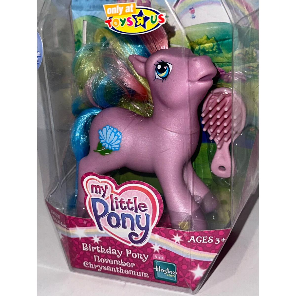 My Little Pony G3 November Chrysanthemum Birthday Pony Toys R US Exclusive