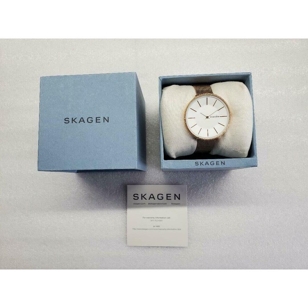 Skagen Karolina Silver Dial Rose Gold Mesh St. Steel Women`s Watch SKW2726