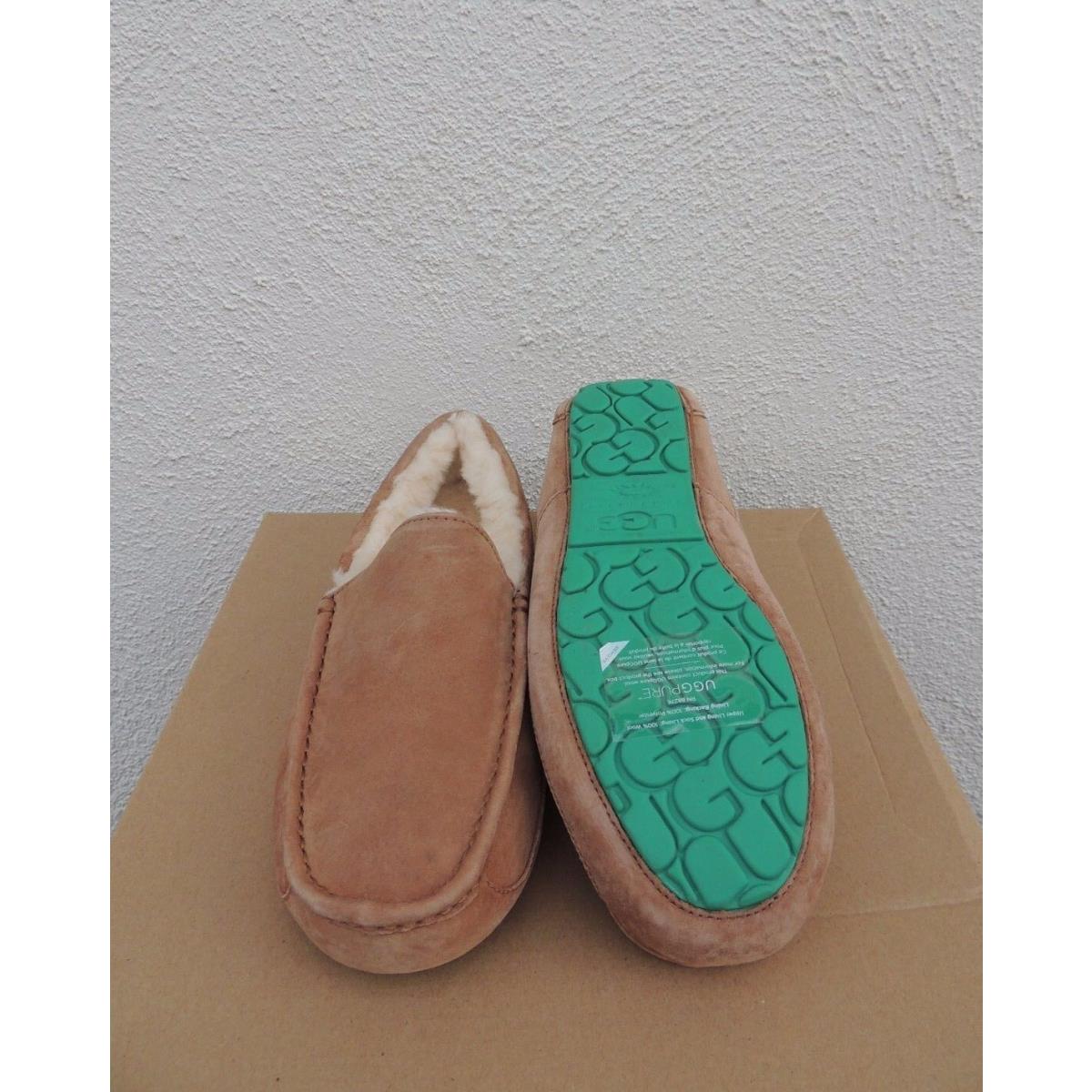 Ugg Ascot Chestnut with Emerald Sheepwool Slippers US 9/ Eur 42 Run Small