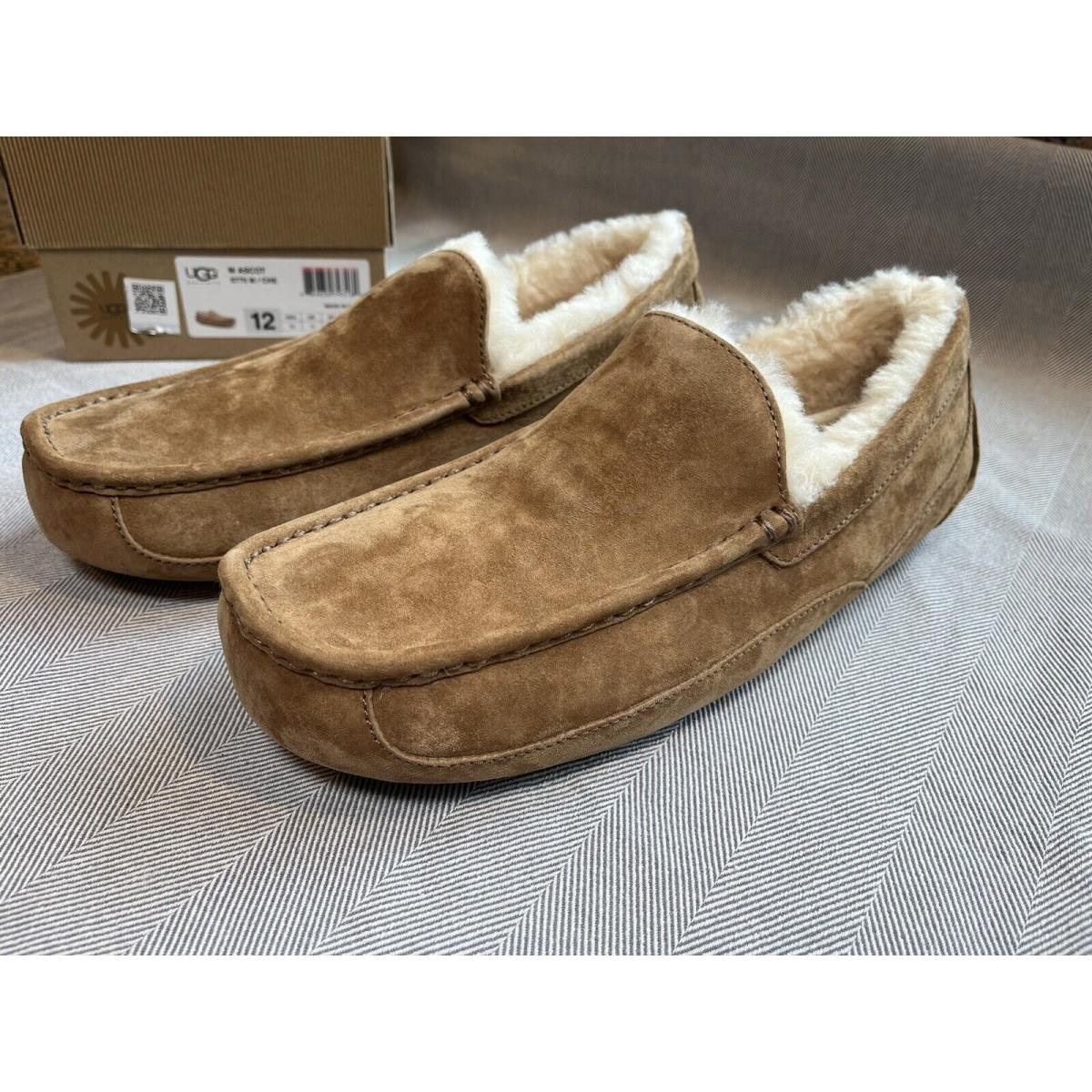 Ugg Men`s 12 Ascot Casual Comfort Suede Slipper Loafers Chestnut Wool Leather