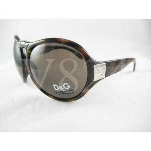 Dolce Gabbana D G 8048 Sunglass DG 8048 Tortoise Brown D G8048 502/73