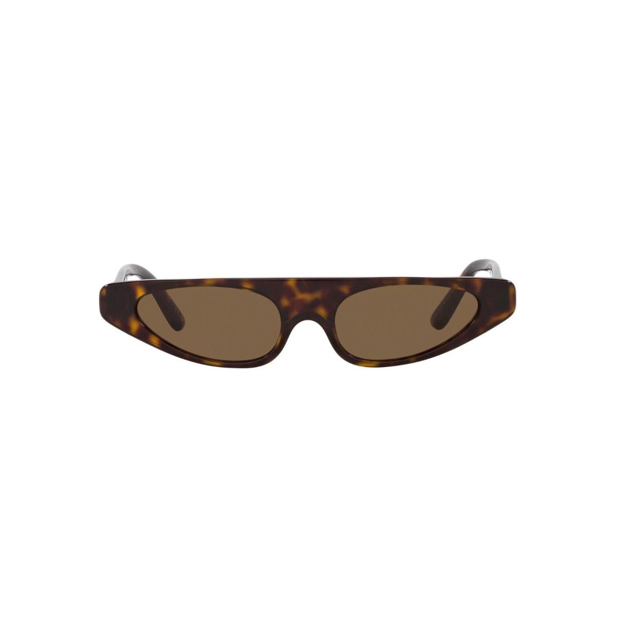 Dolce Gabbana DG 4442 Dark Havana/brown 502/73 Sunglasses