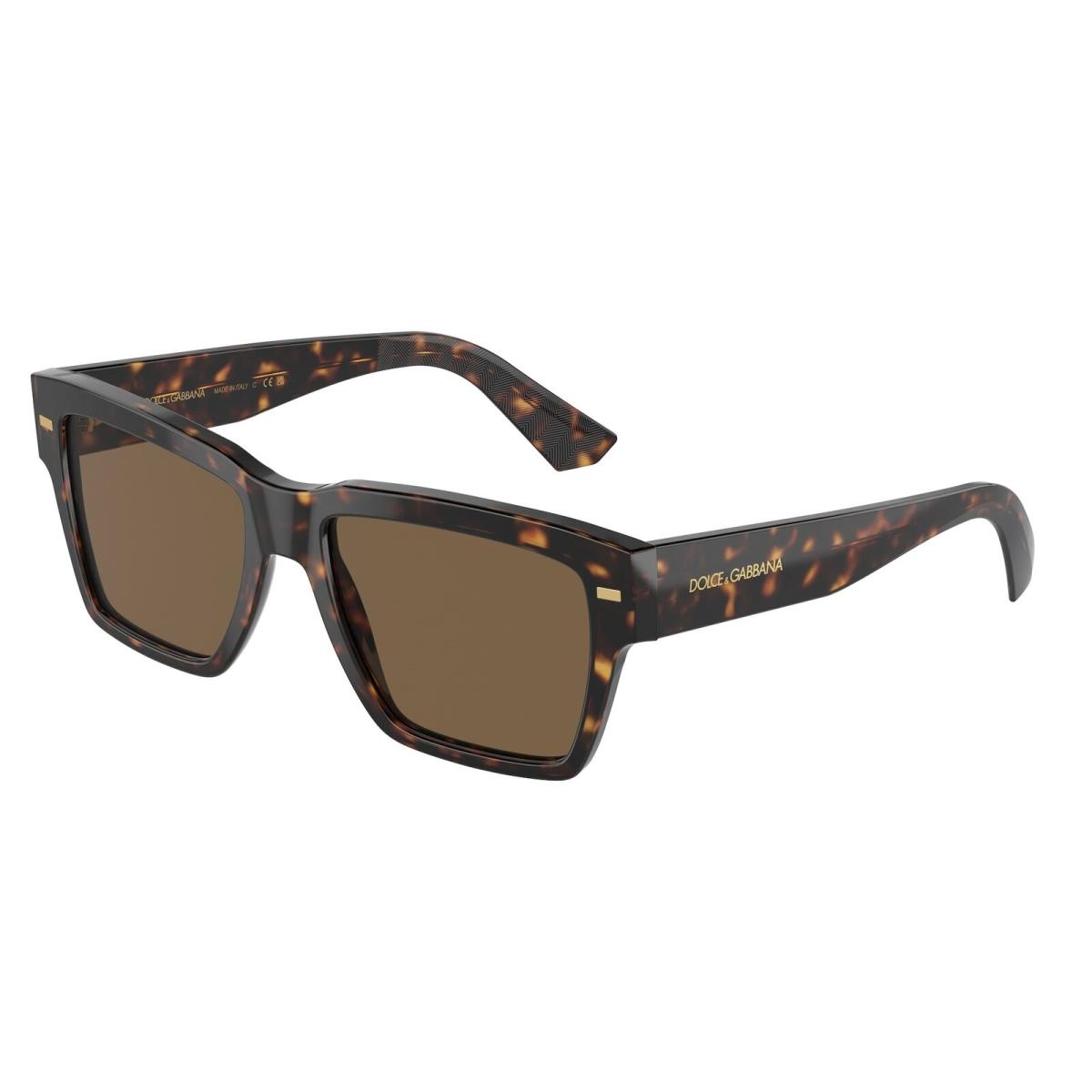 Dolce E Gabbana DG4431F 502 73 Havana Dark Brown 55 mm Men`s Sunglasses