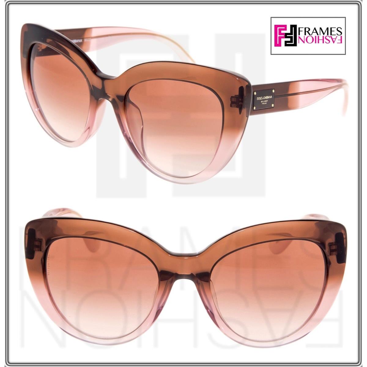 Dolce Gabbana 4287 Bordeaux Powder Pink Gradient Cateye Sunglass DG4287F Women