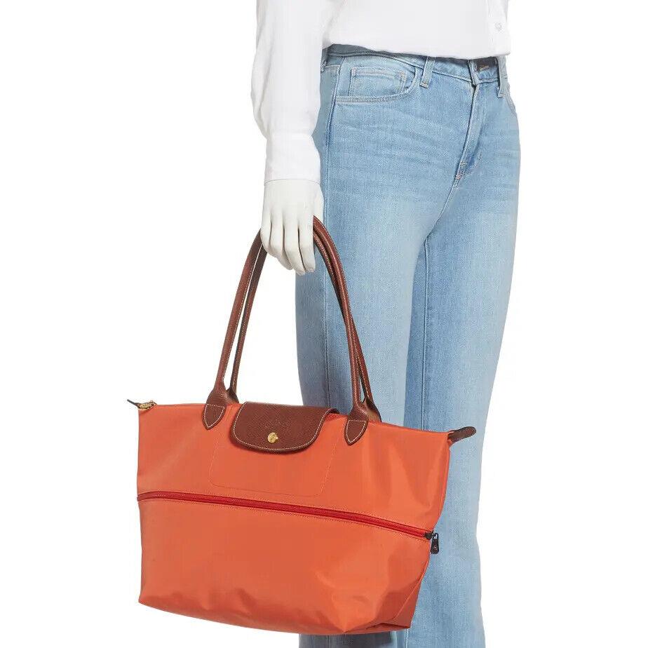Longchamp  bag   - Marine - navy blue, Handle/Strap: Brown, Hardware: Multicolor 13