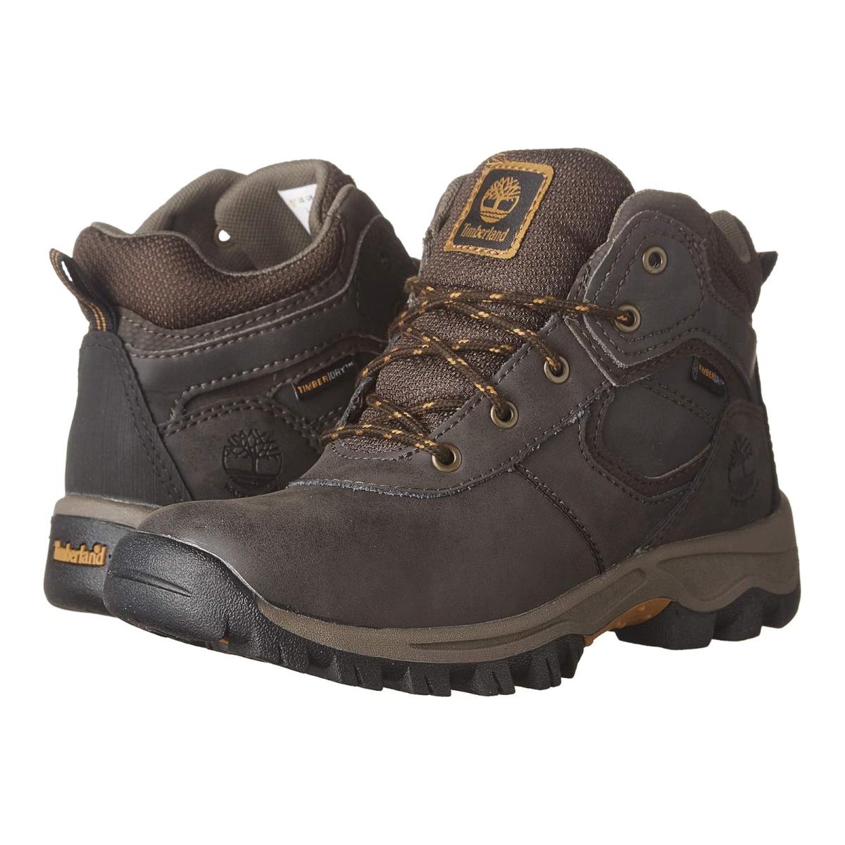 Boy`s Hiking Timberland Kids Mt. Maddsen Mid Waterproof Little Kid