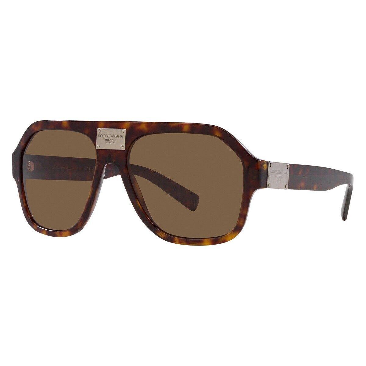 Dolce Gabbana DG4433 502/73 Havana/dark Brown 58-16-145 Sunglasses