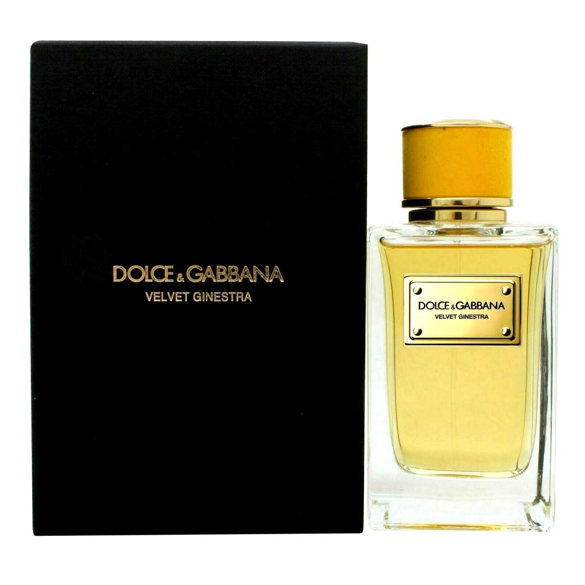 Velvet Ginestra by Dolce Gabbana Women 5 oz Edp Spray Big Size