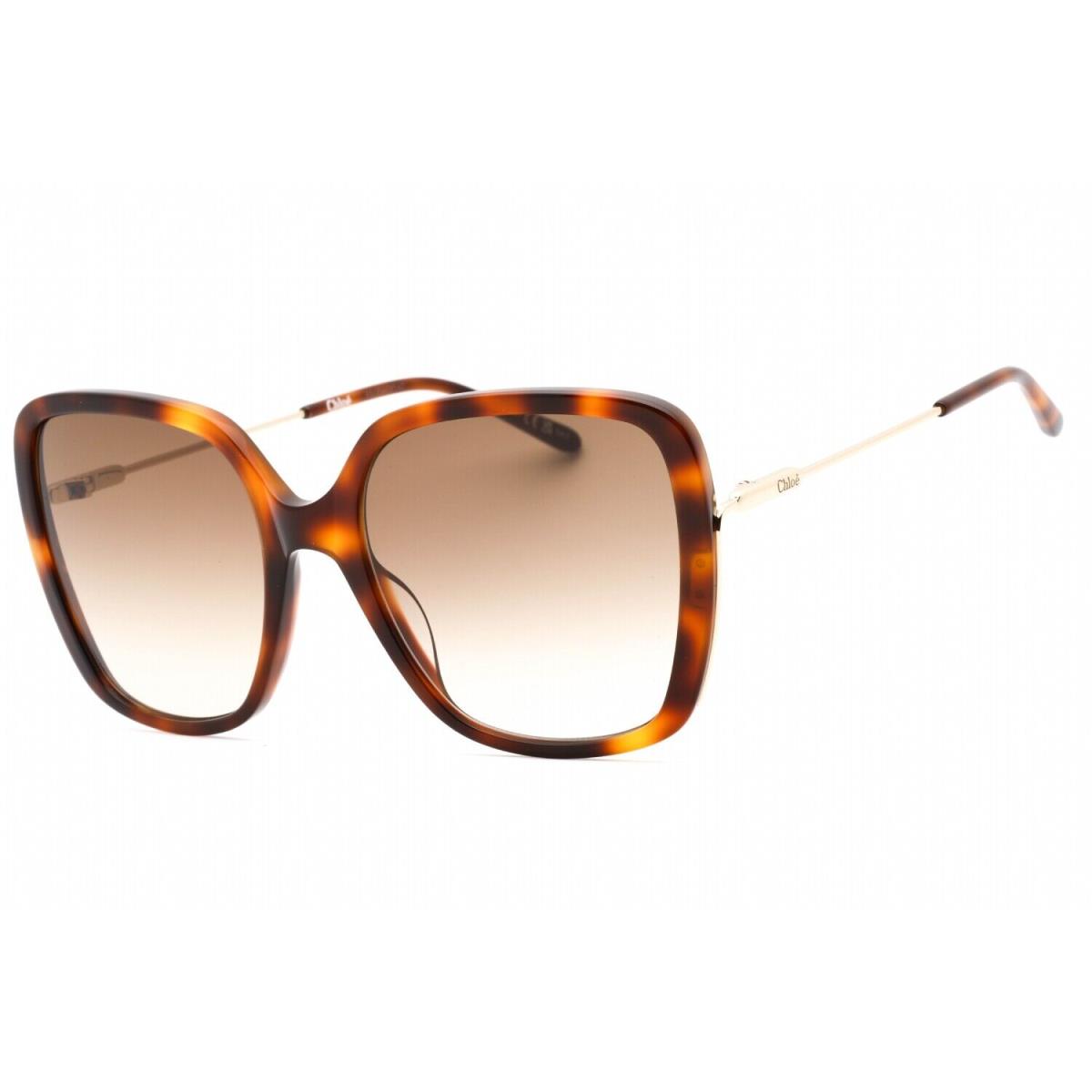 Chloe CH0173S-002 Havana-gold Sunglasses