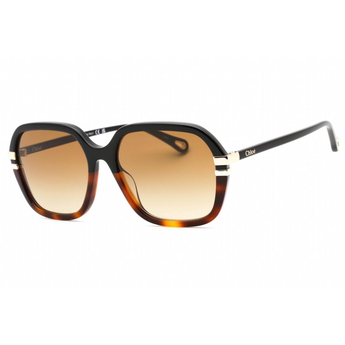 Chloe CH0204S-003 Black Sunglasses