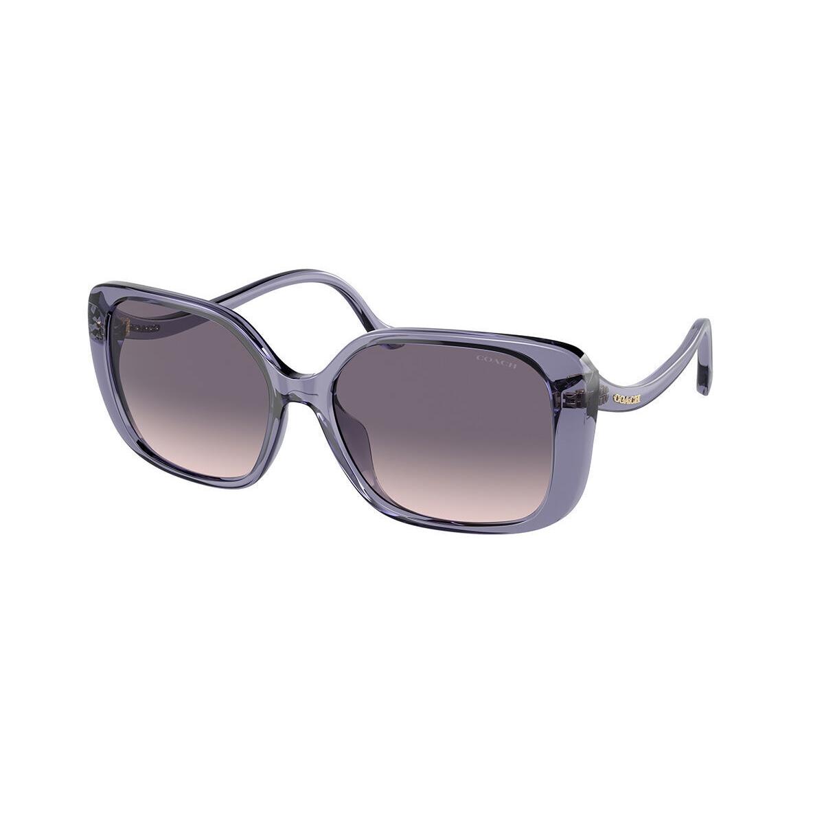 Coach Women`s 56mm Transparent Violet Sunglasses HC8376U-556836-56