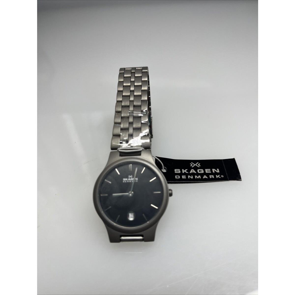 Skagen Ladies Watch