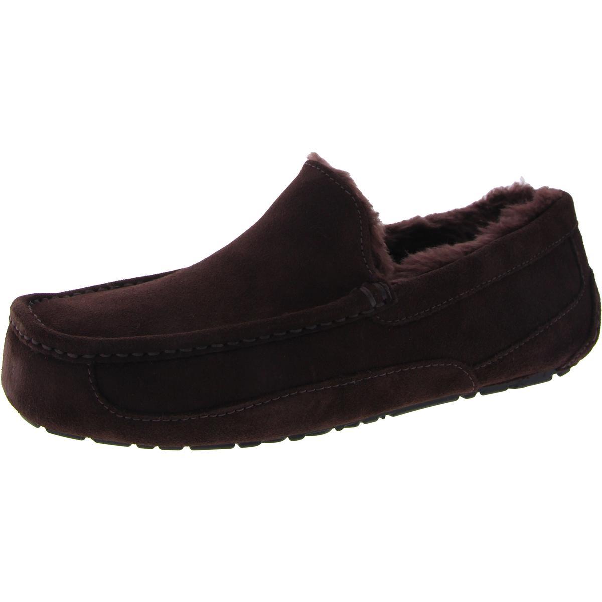 Ugg Men`s Ascot Suede Wool Slip On Loafer Slipper Brown