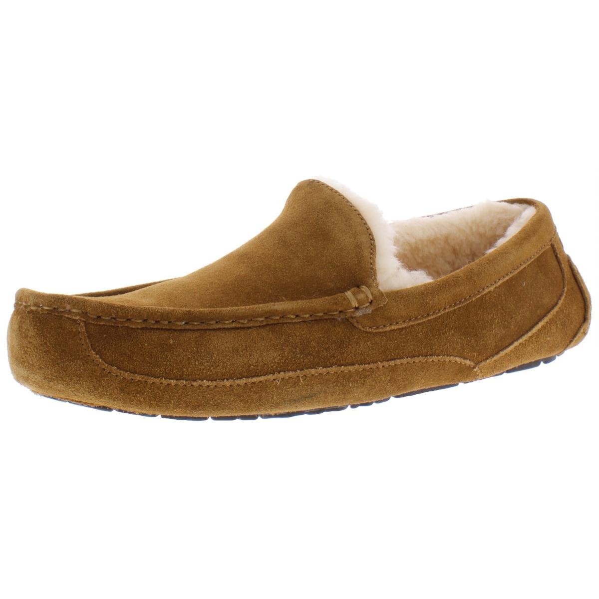 Ugg Men`s Ascot Suede Wool Slip On Loafer Slipper Chestnut