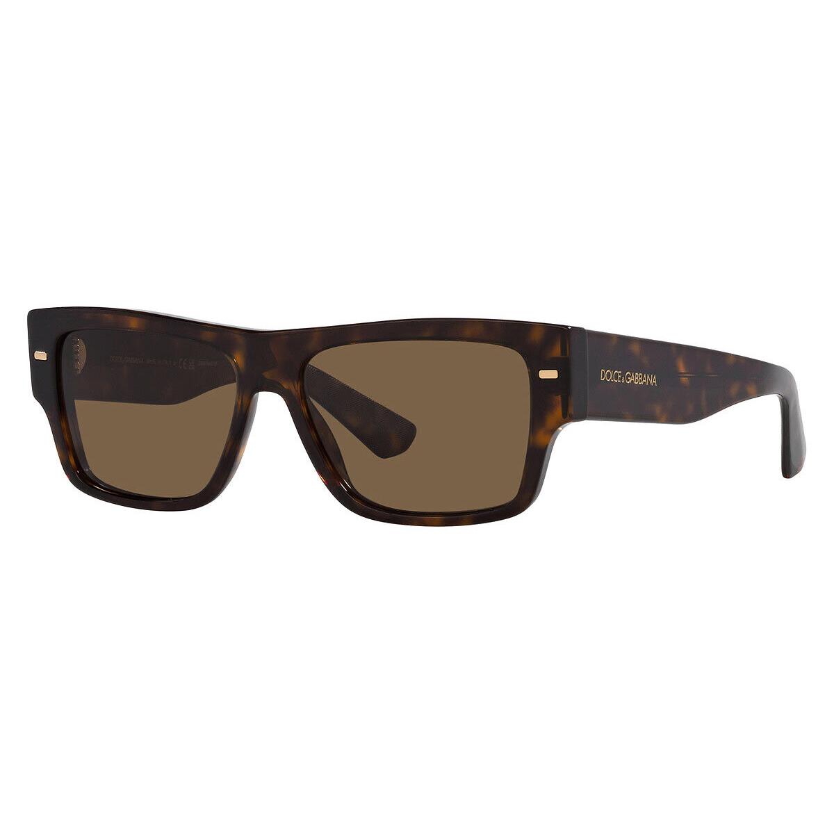 Dolce Gabbana Men`s 55mm Havana Sunglasses DG4451F-502-73-55