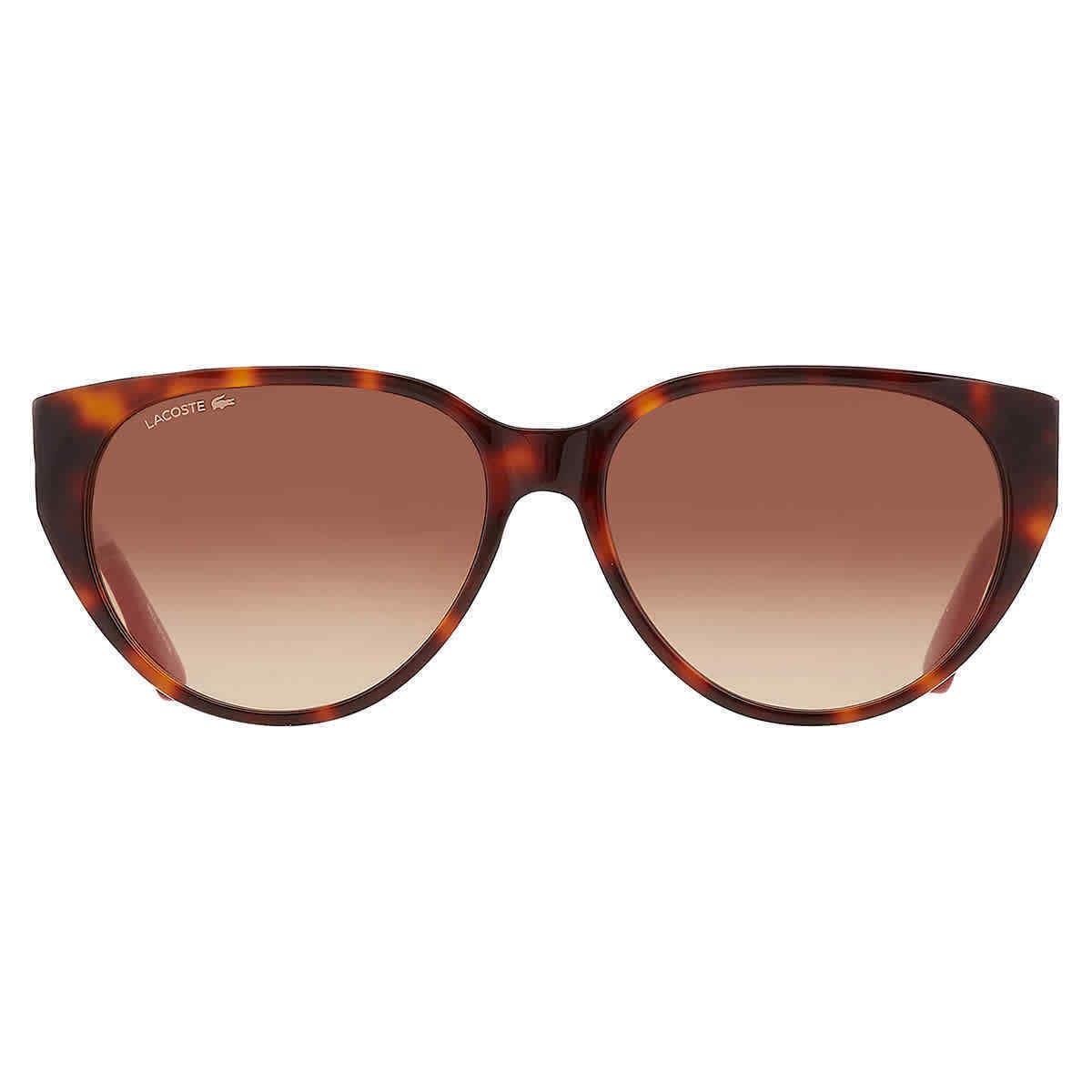 Lacoste Brown Gradient Cat Eye Ladies Sunglasses L985S 240 59 L985S 240 59