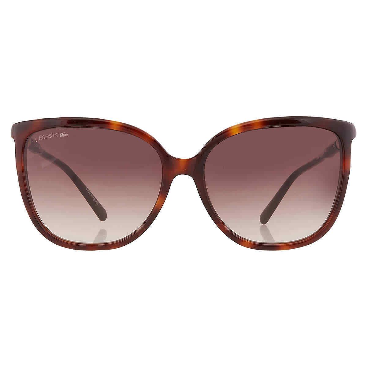 Lacoste Brown Gradient Cat Eye Ladies Sunglasses L963S 230 59 L963S 230 59