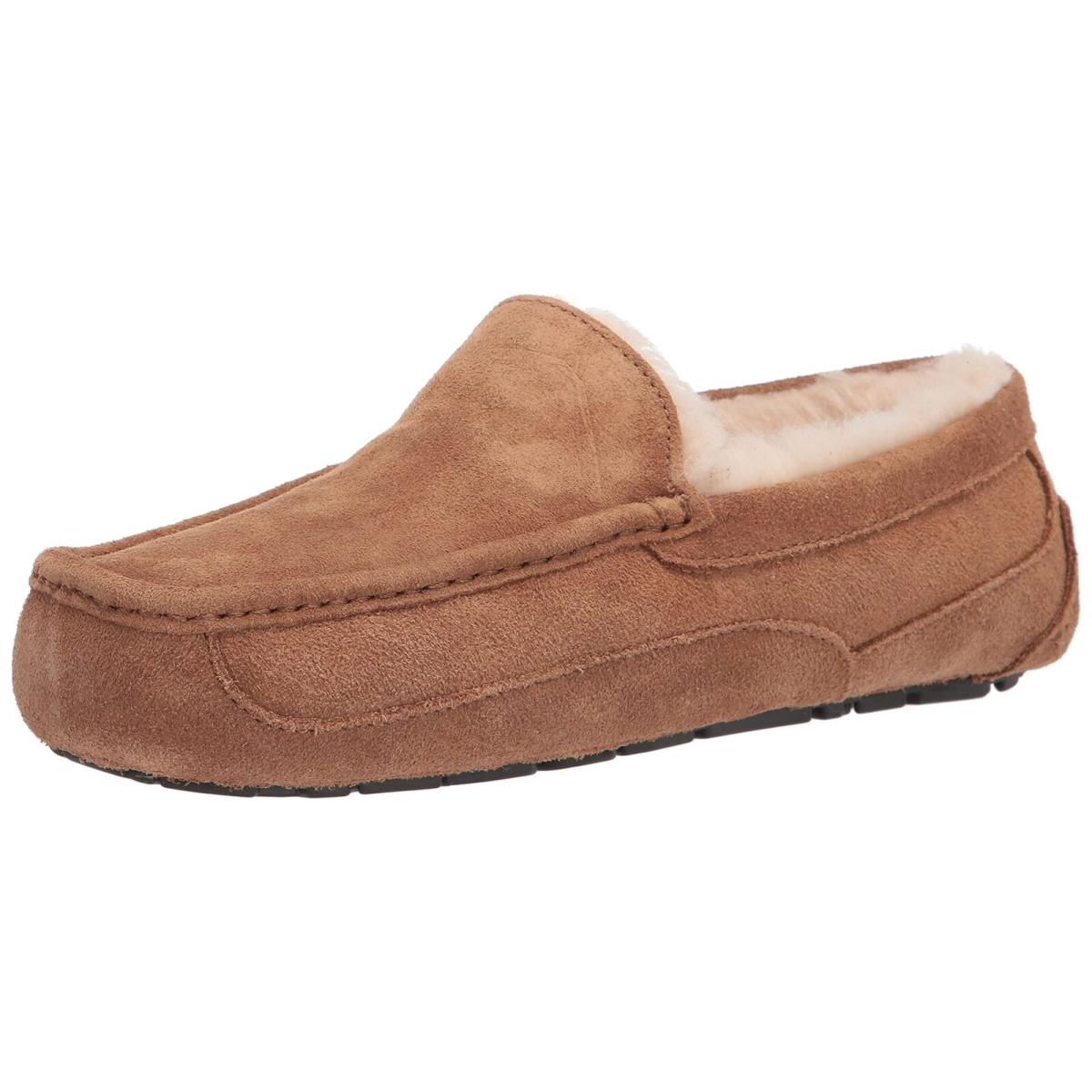 Ugg Men`s Ascot Slipper Chestnut