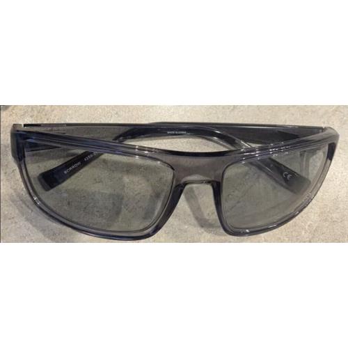 Arnette Borrow Shiny Transparent Grey Sunglasses AN4259 2631/87 63/17