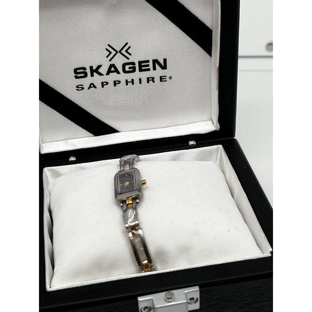 Skagen Ladies Watch Bracelet Sapphire Rectangle SS SP13SGXB