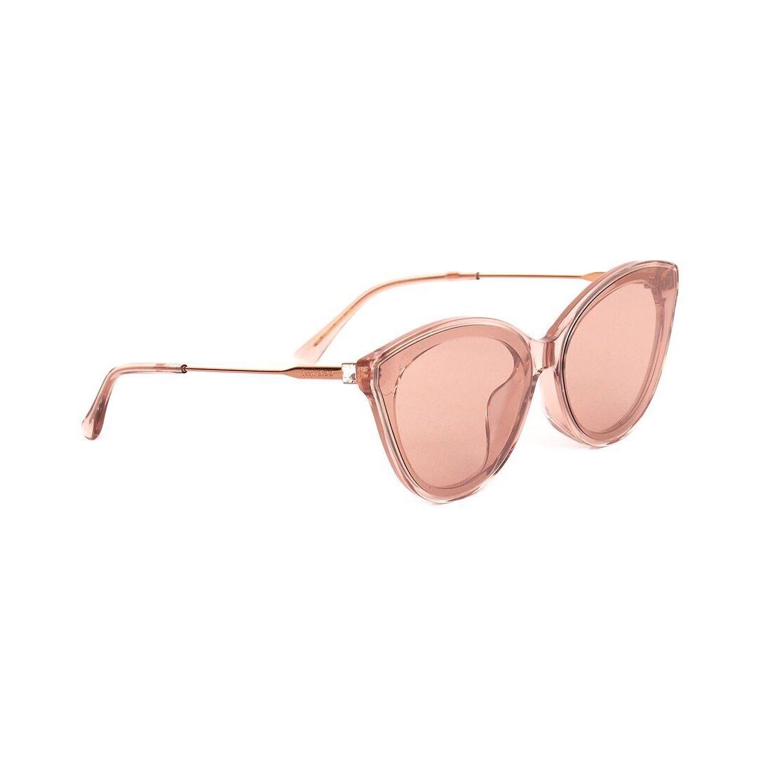 Jimmy Choo Women`s Vic/f/sk 64Mm Sunglasses Women`s Brown