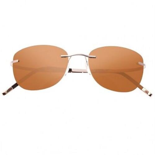 Simplify Matthias Unisex Polarized Titanium Brown Rose Gold Sunglasses 112-RG