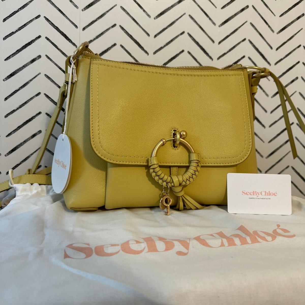 See by Chloe Leather Russet Green / Yellow Crossbody Bag Retail