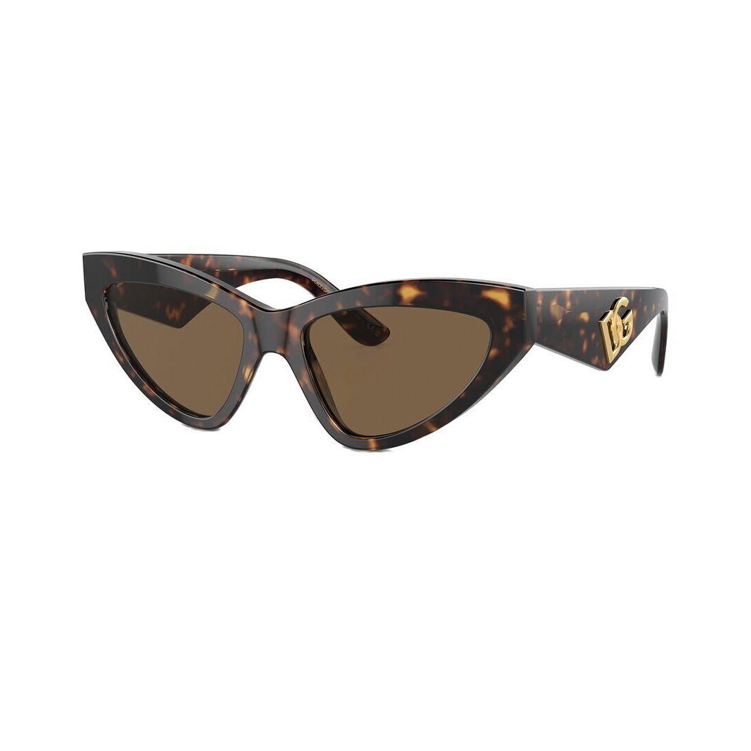 Dolce Gabbana Women`s Dg4439 55Mm Sunglasses Women`s Brown