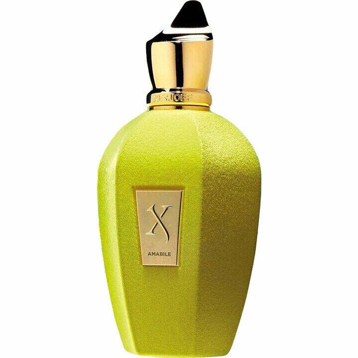 Xerjoff Amabile For Unisex 3.4 oz 100 ml Edp Spray Tester with Cap