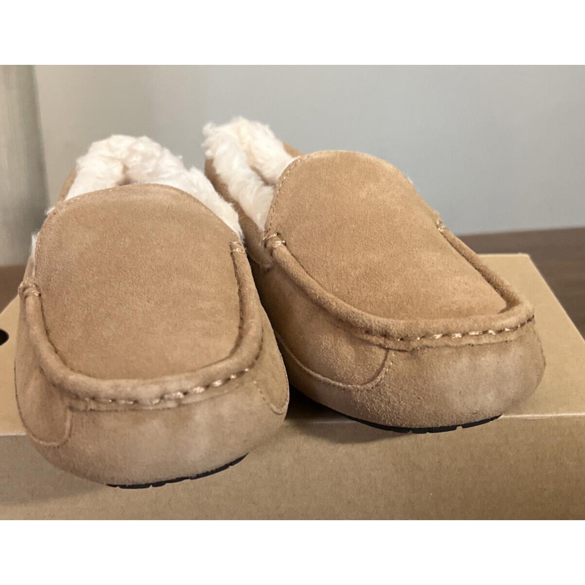 Ugg Kids Ascot 1120886K Chestnut Suede Size 6 Slippers