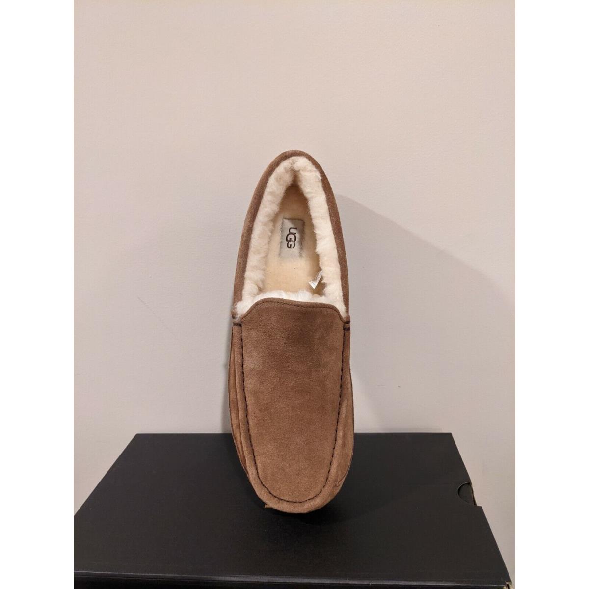 Ugg Australia Men`s Ascot Slipper Size 10