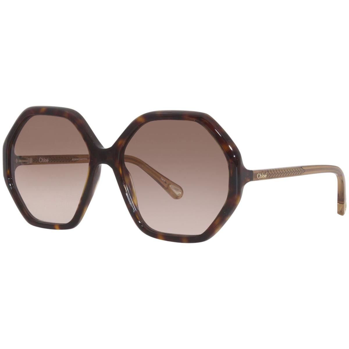 Chloe CH0008S 004 Sunglasses Women`s Havana/brown Gradient Lens Round Shape