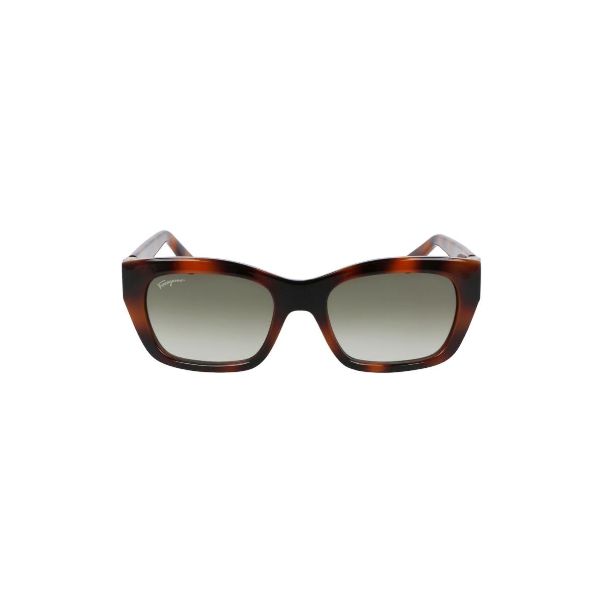 Salvatore Ferragamo SF1012S 214 53 Sunglasses AB