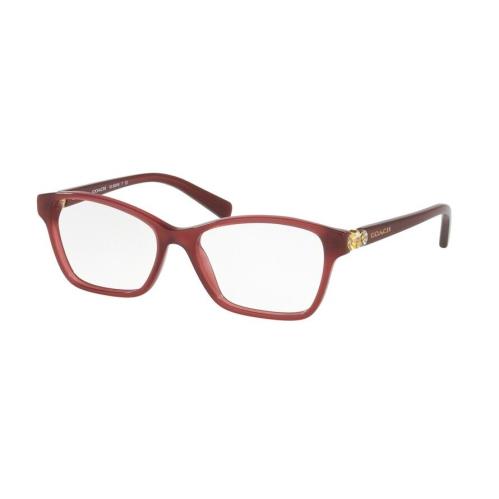 Coach Eyeglasses Frames HC 6091B 5398 Milky Black Cherry 51/135