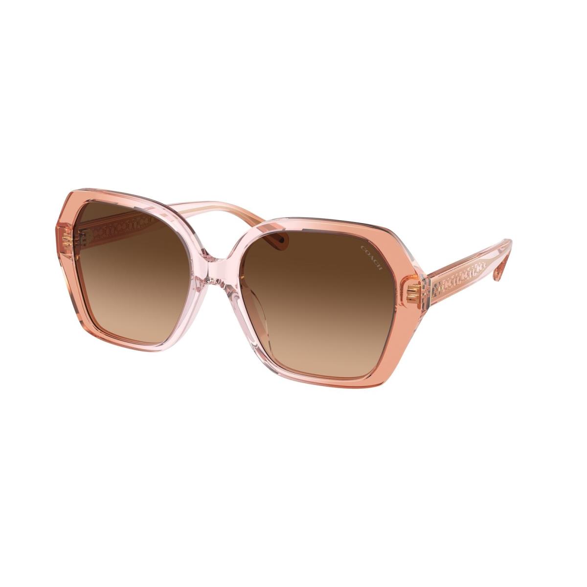 Coach HC8404U 581274 Cr615 Saddle Rose Gradient Gradient 56mm Women`s Sunglasses