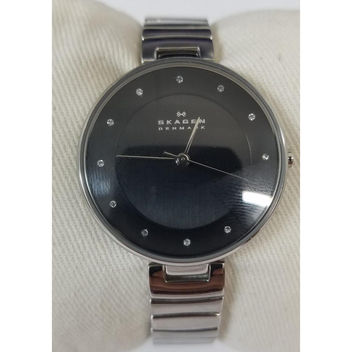 Skagen Women`s SKW2225 Gitte Stainless Steel Link Watch