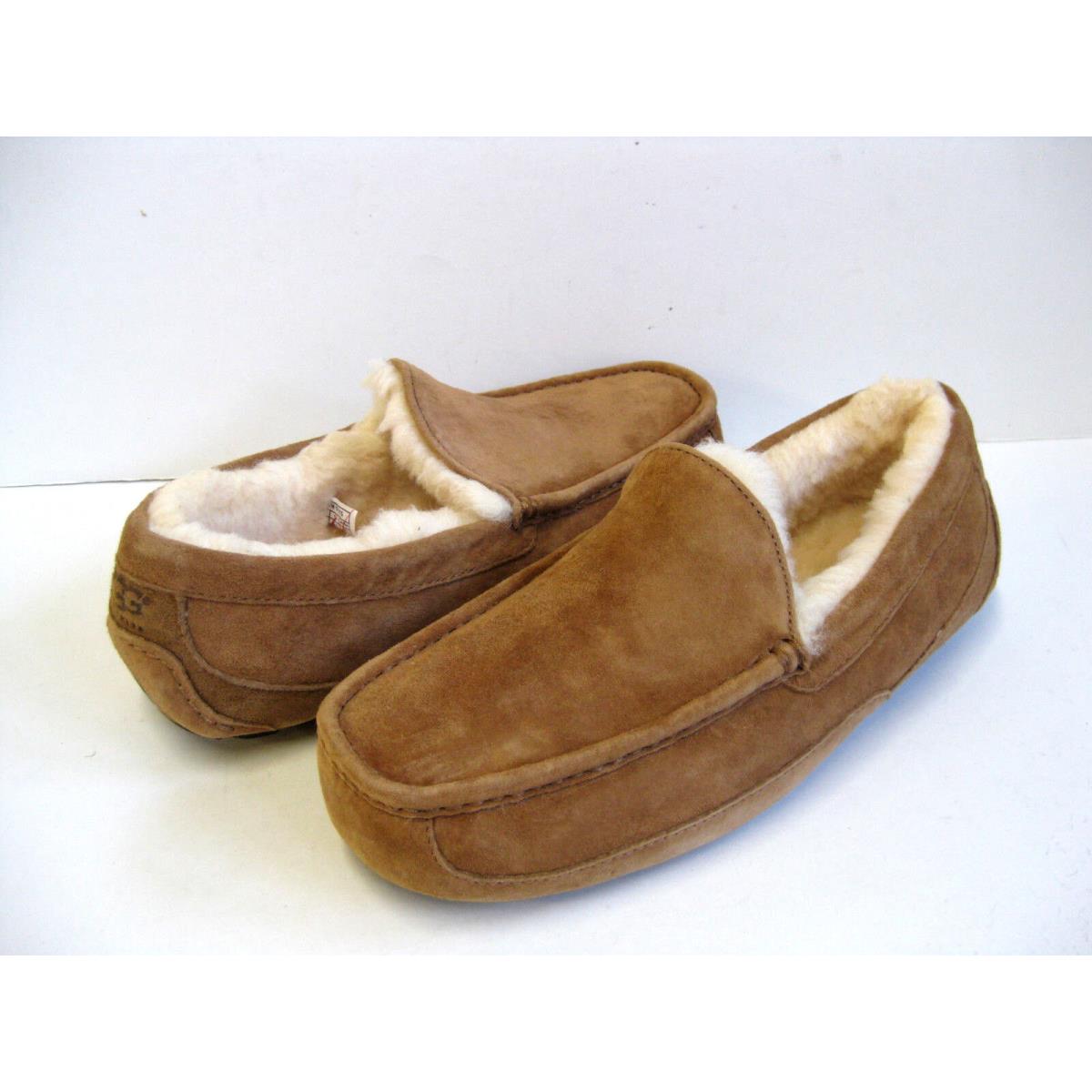 Ugg Ascot Men Slipper Suede Chestnut US 10 to 14