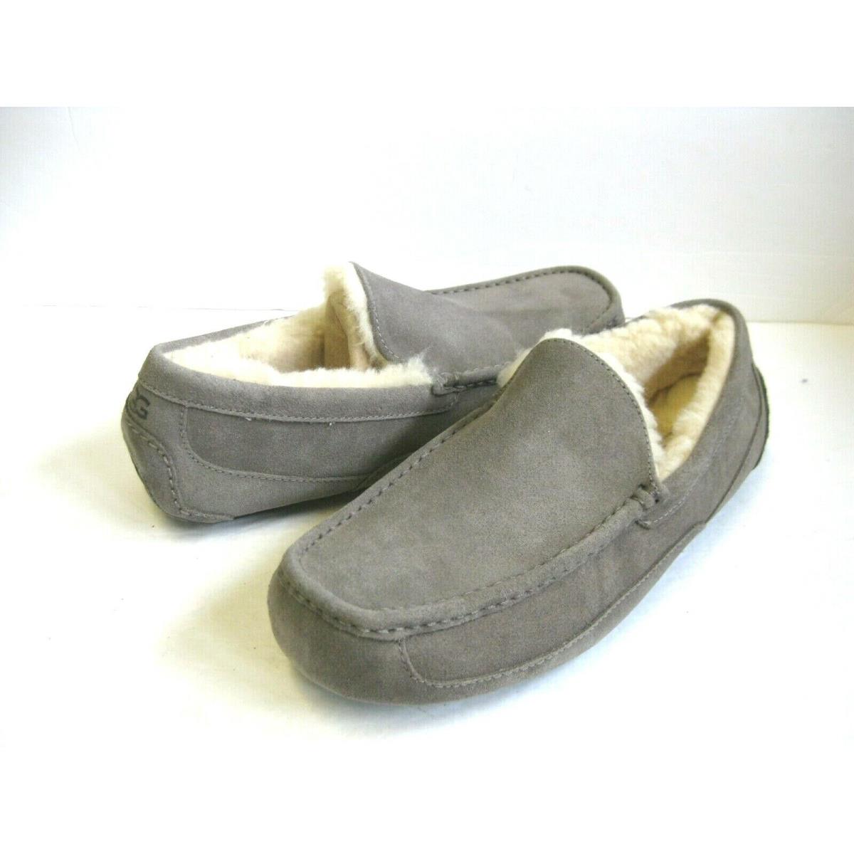 Ugg Ascot Men Slipper Suede Grey US 14 /uk 13 /eu 48.5