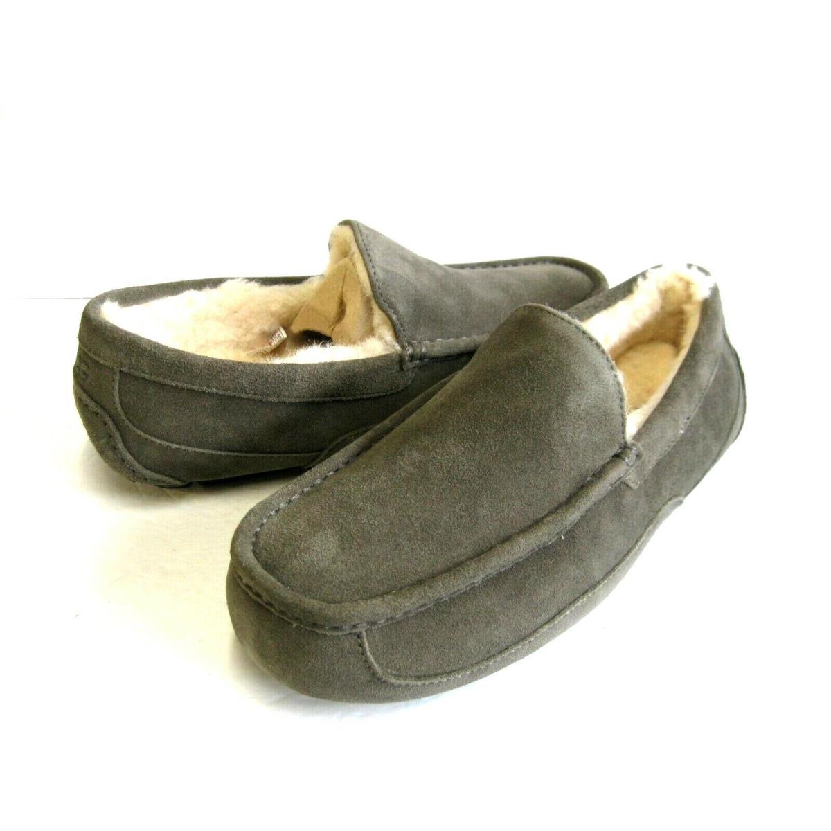 Ugg Ascot Men Slipper Suede Charcoal US 13 /uk 12 /eu 46