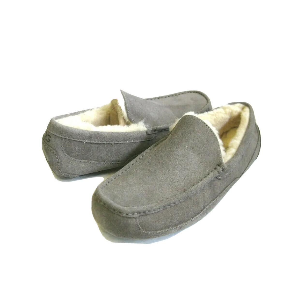 Ugg Ascot Men Slipper Suede Grey Wide Fit US 11 3E /uk 10 /eu 44